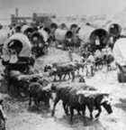 Wagon train of pioneers going to the unknown west at Great Bend, Kansas.